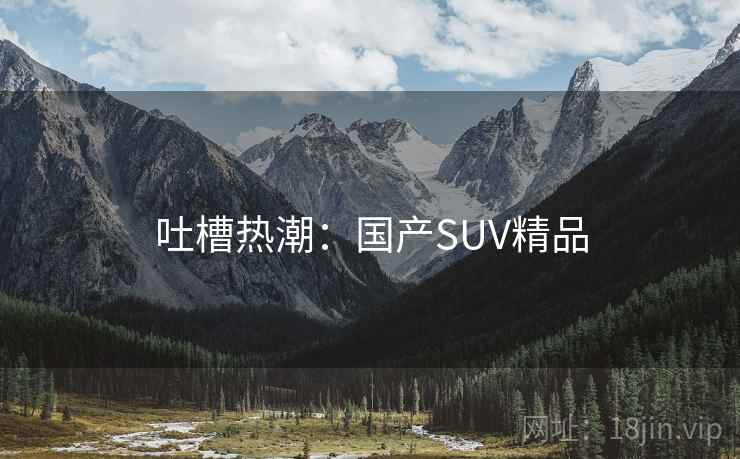 吐槽热潮：国产SUV精品  第2张