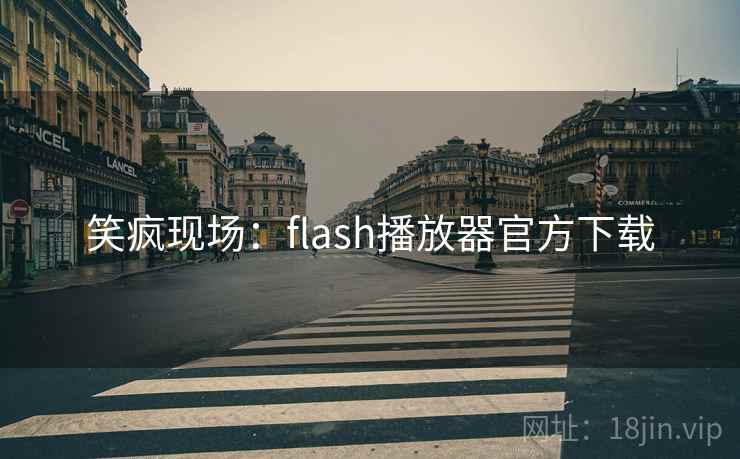 笑疯现场：flash播放器官方下载